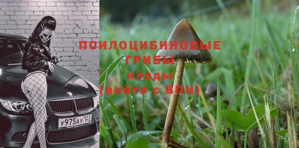 гашик Верхнеуральск