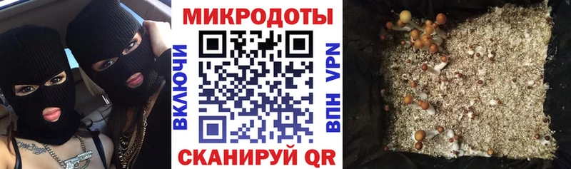 где найти наркотики  Череповец  Псилоцибиновые грибы мицелий 